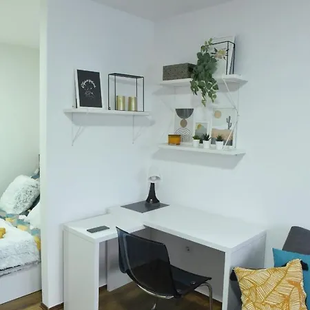 Central Apartment Apartment