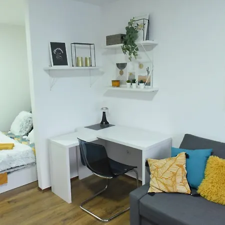 Central Apartment Apartment *